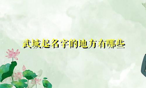 武城起名字的地方有哪些