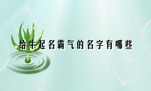 给牛起名霸气的名字有哪些