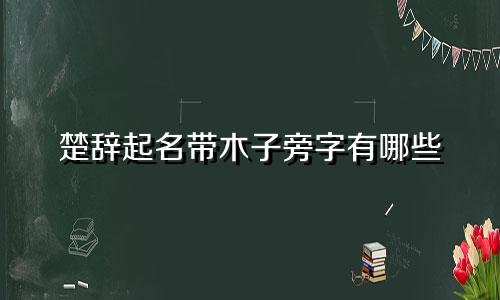 楚辞起名带木子旁字有哪些