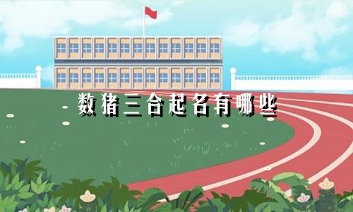 数猪三合起名有哪些