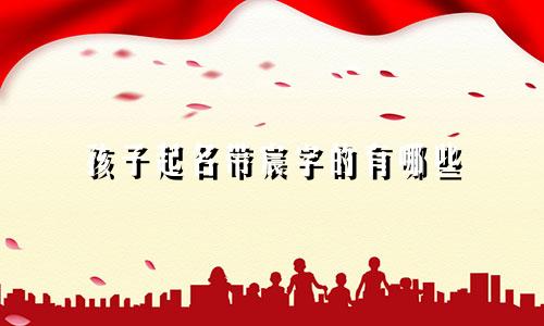孩子起名带宸字的有哪些