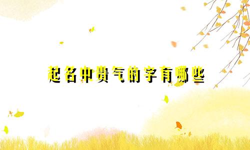 起名中贵气的字有哪些