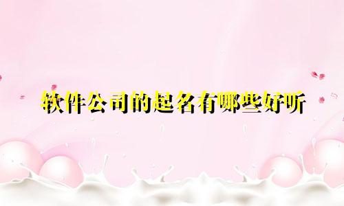 软件公司的起名有哪些好听