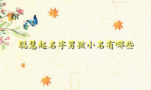 聪慧起名字男孩小名有哪些