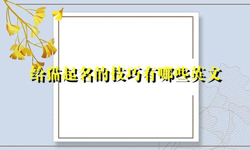 给猫起名的技巧有哪些英文