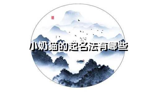 小奶猫的起名法有哪些