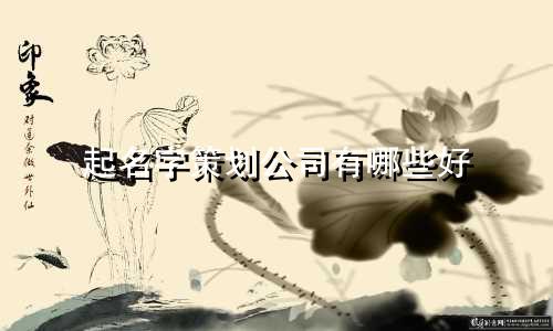 起名字策划公司有哪些好