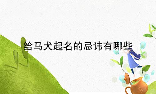 给马犬起名的忌讳有哪些