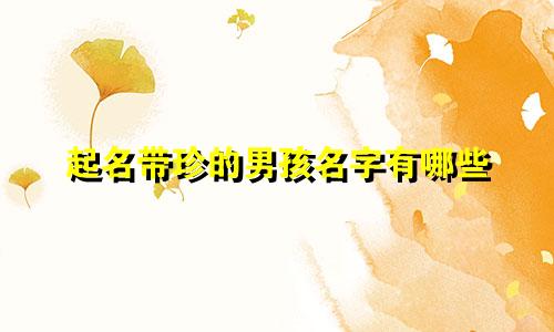起名带珍的男孩名字有哪些