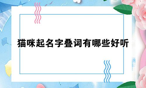 猫咪起名字叠词有哪些好听