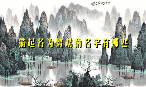 猫起名为鹦鹉的名字有哪些