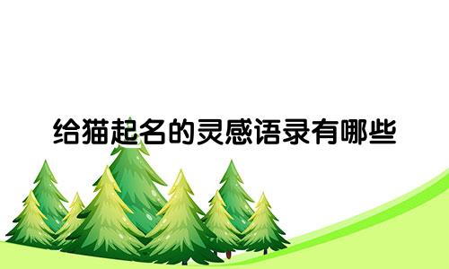 给猫起名的灵感语录有哪些