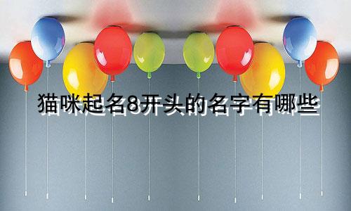 猫咪起名8开头的名字有哪些