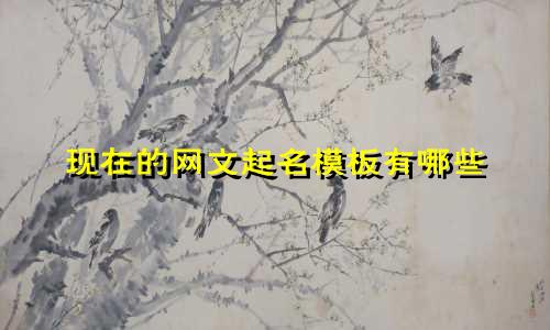 现在的网文起名模板有哪些