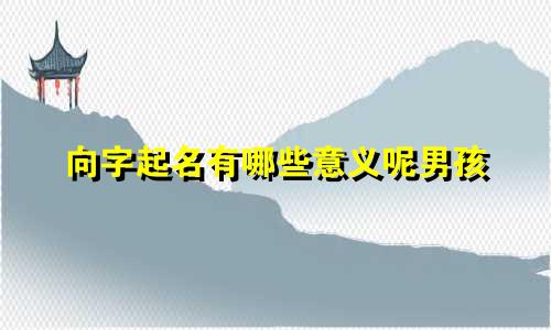 向字起名有哪些意义呢男孩