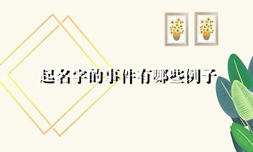 起名字的事件有哪些例子