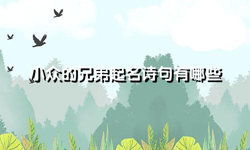 小众的兄弟起名诗句有哪些