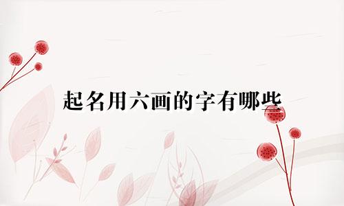 起名用六画的字有哪些