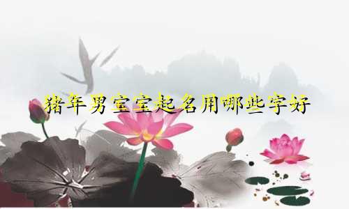 猪年男宝宝起名用哪些字好