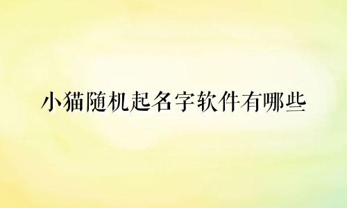小猫随机起名字软件有哪些