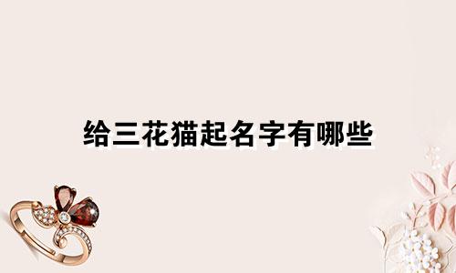 给三花猫起名字有哪些