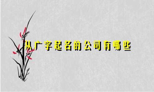 从广字起名的公司有哪些