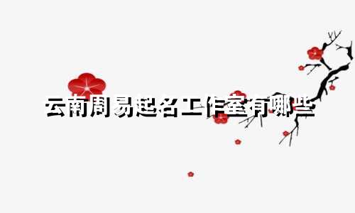 云南周易起名工作室有哪些