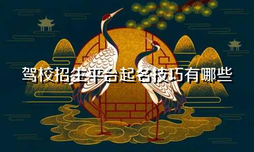 驾校招生平台起名技巧有哪些
