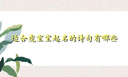 适合虎宝宝起名的诗句有哪些