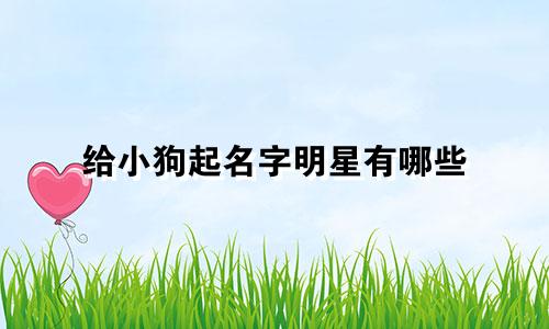 给小狗起名字明星有哪些