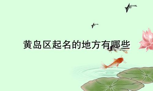 黄岛区起名的地方有哪些