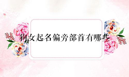 狗女起名偏旁部首有哪些