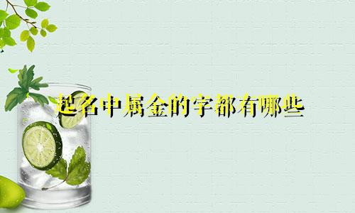 起名中属金的字都有哪些