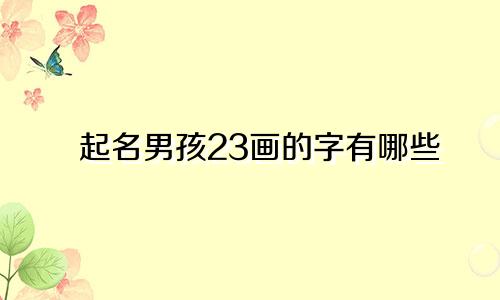 起名男孩23画的字有哪些