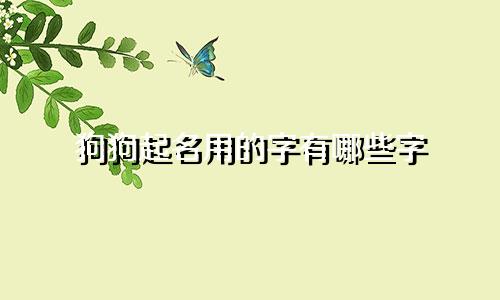 狗狗起名用的字有哪些字