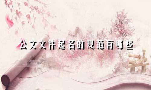 公文文件起名的规范有哪些