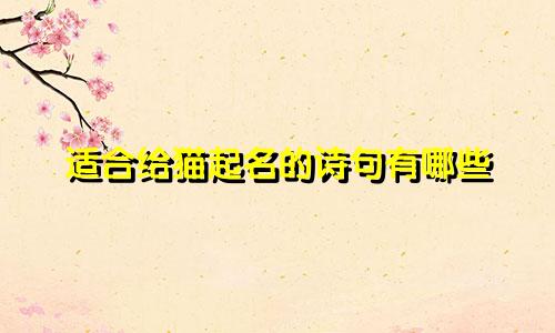 适合给猫起名的诗句有哪些