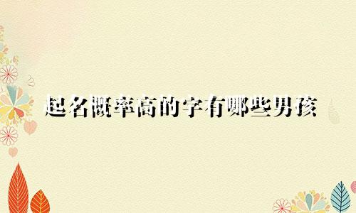 起名概率高的字有哪些男孩