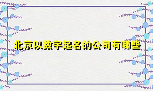 北京以数字起名的公司有哪些