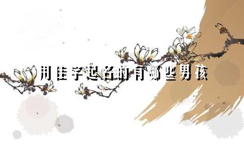 用佳字起名的有哪些男孩