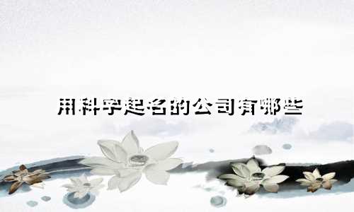 用科字起名的公司有哪些
