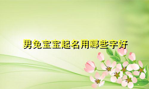 男兔宝宝起名用哪些字好
