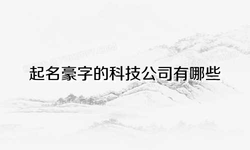 起名豪字的科技公司有哪些