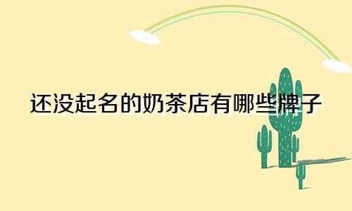 还没起名的奶茶店有哪些牌子