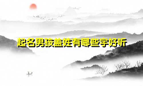 起名男孩盖姓有哪些字好听