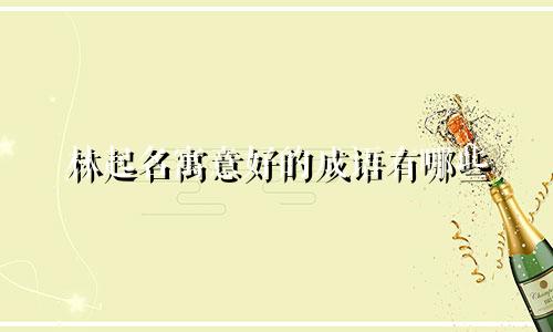 林起名寓意好的成语有哪些