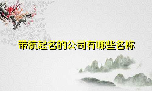 带航起名的公司有哪些名称
