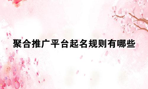 聚合推广平台起名规则有哪些