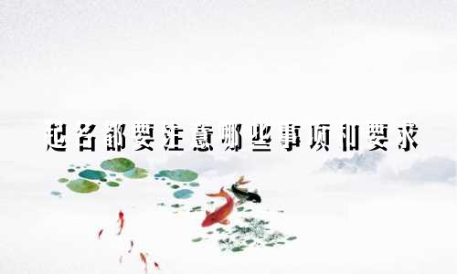 起名都要注意哪些事项和要求