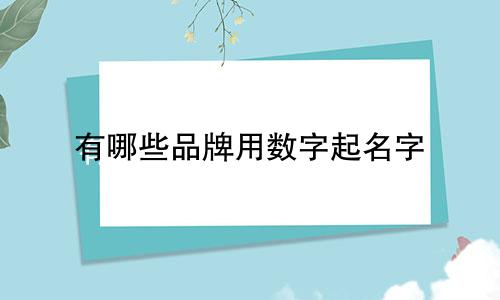 有哪些品牌用数字起名字